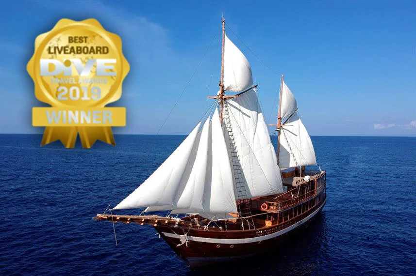 Coralia liveaboard vessel in Raja Ampat