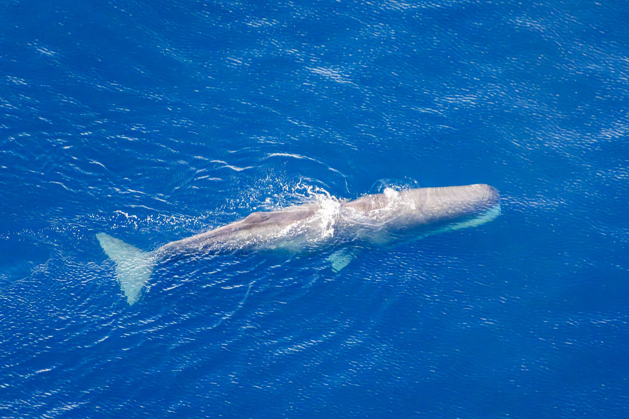 Ocean aerial