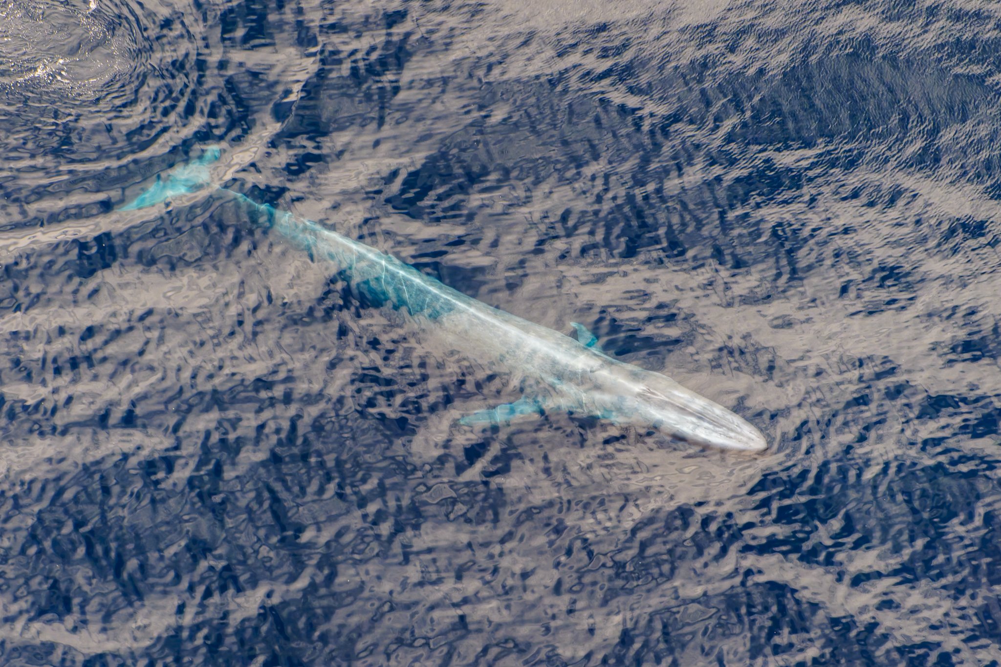 Seascape aerial