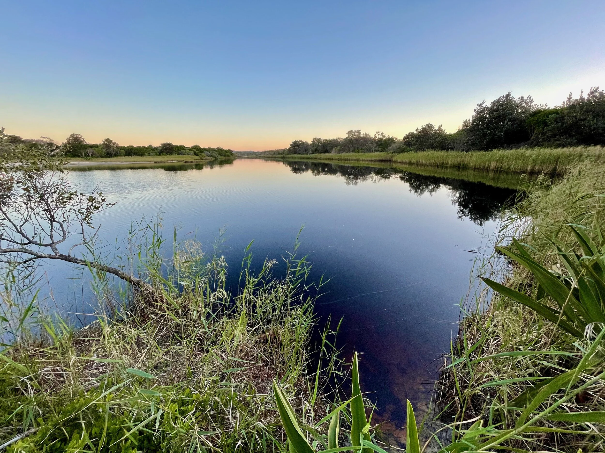 Tallow Creek lagoon at Arakwal National Park