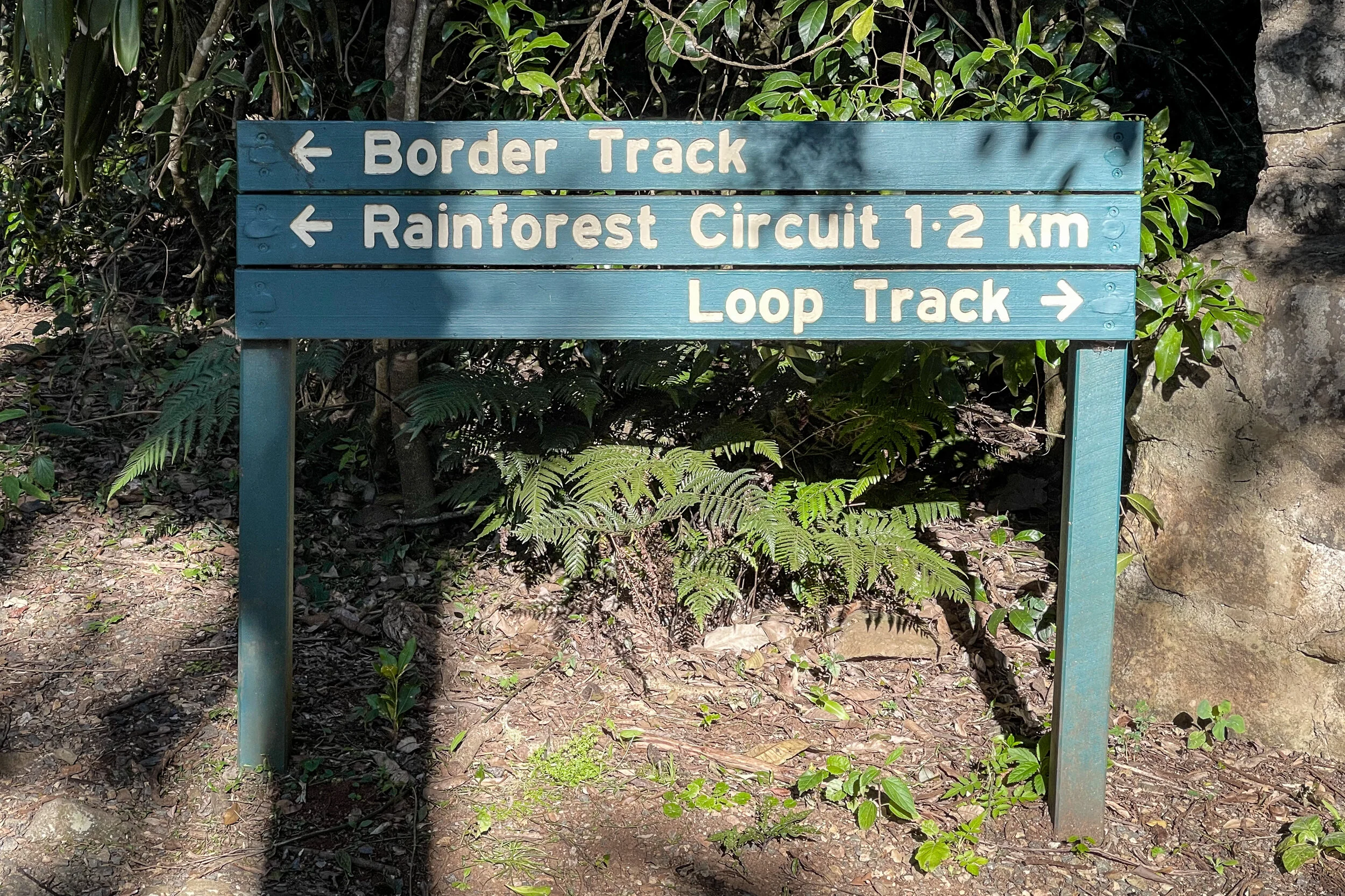 Binna Burra walking track trailhead