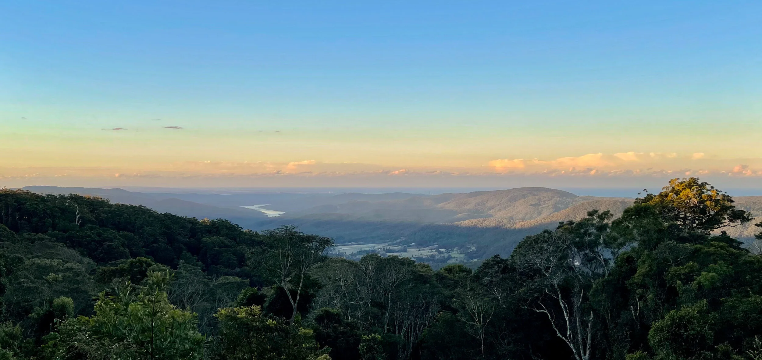 view from the Safari Tent at Binna Burra