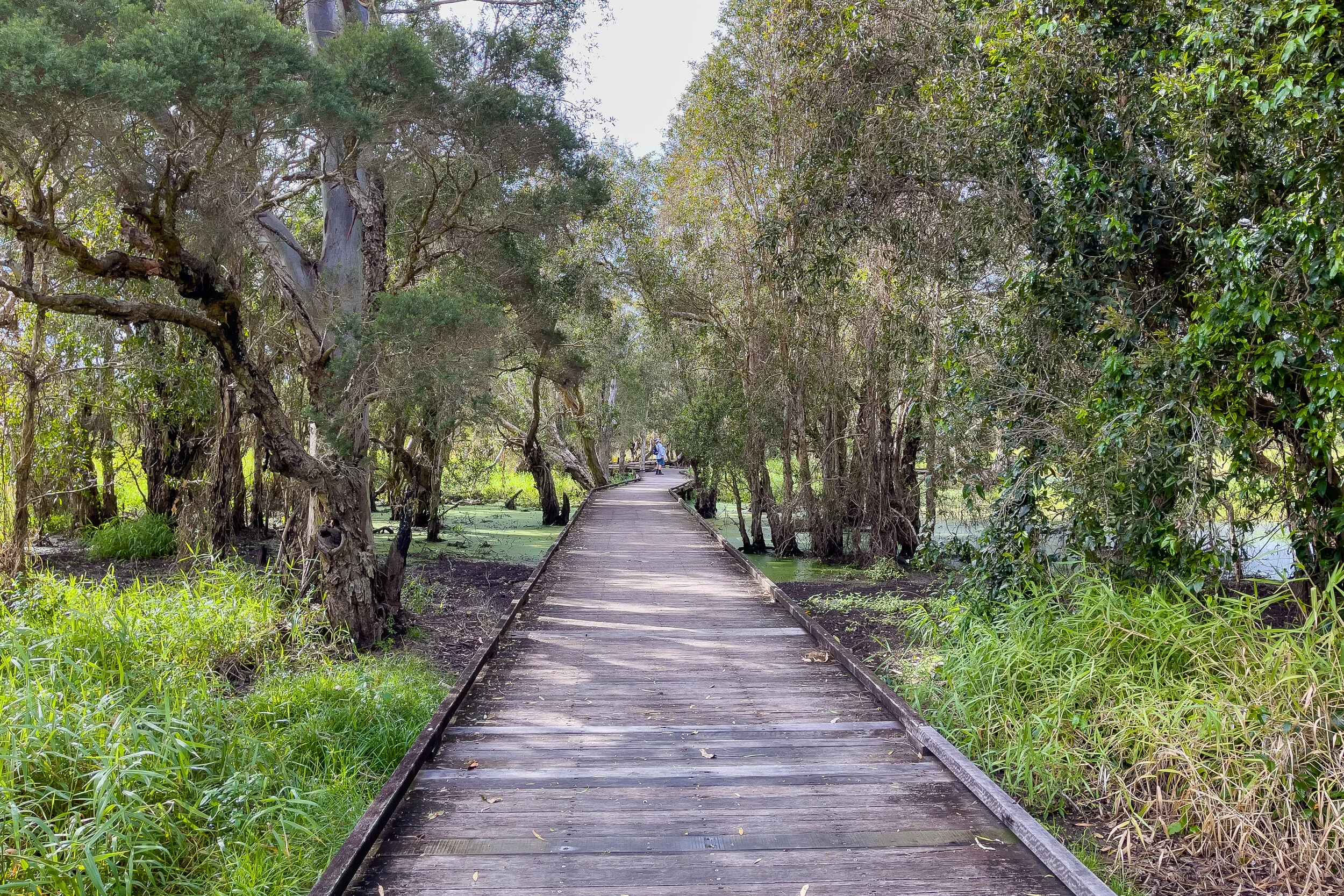 Boardwalk across the main lagoon