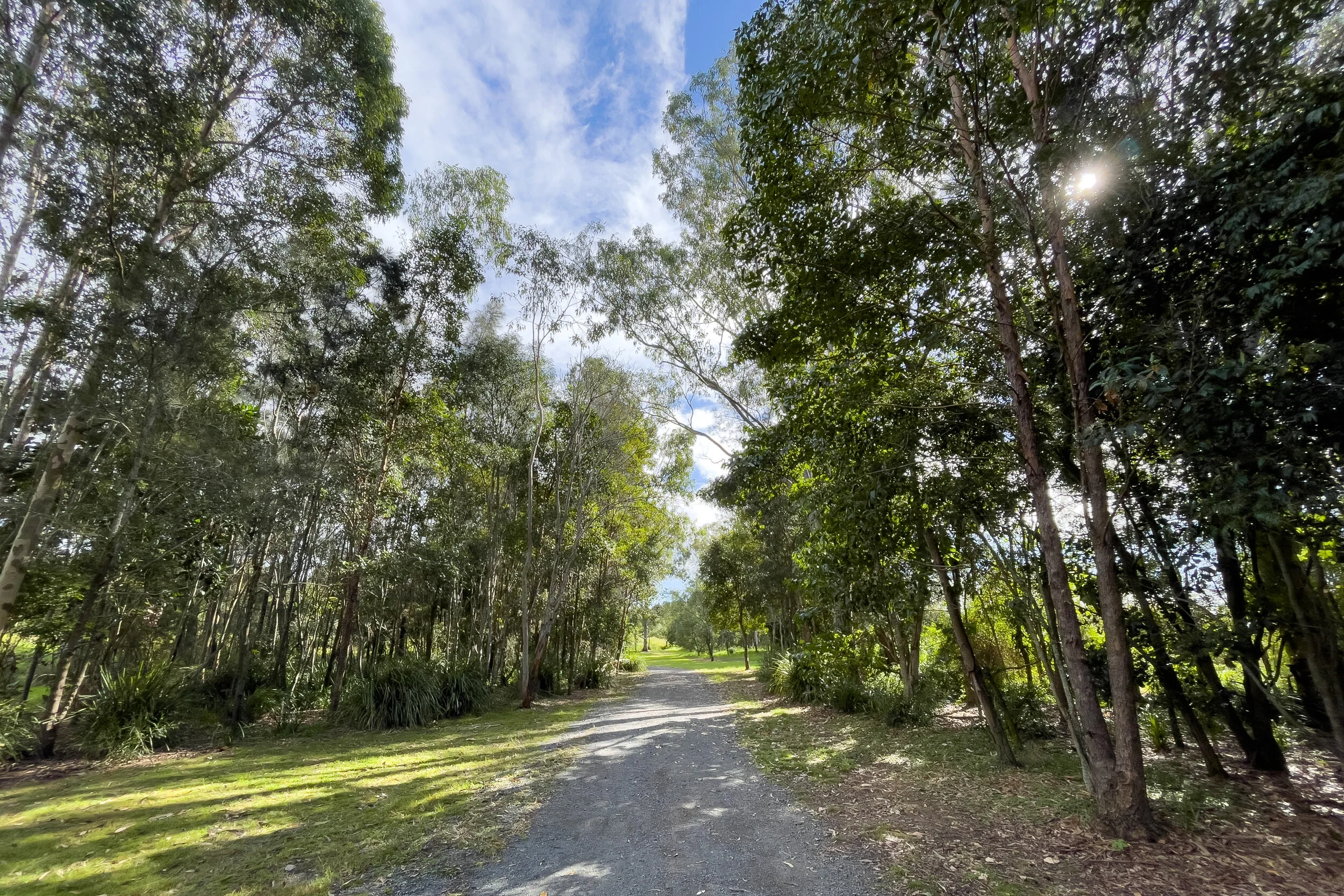 main track through the Wetlands area