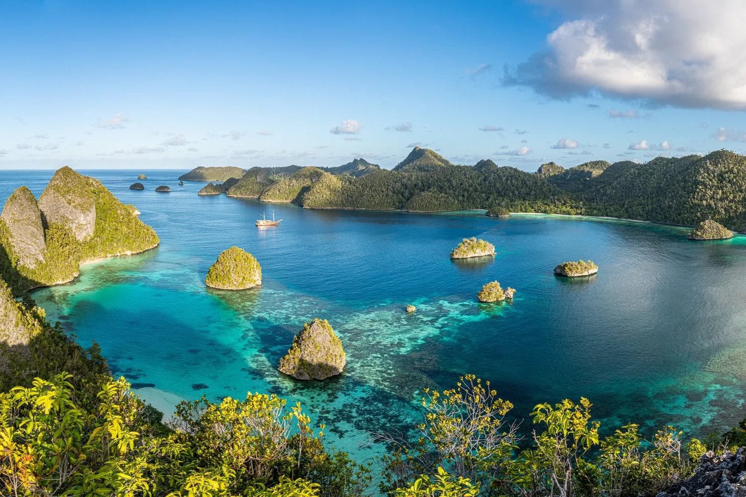 Diving Raja Ampat