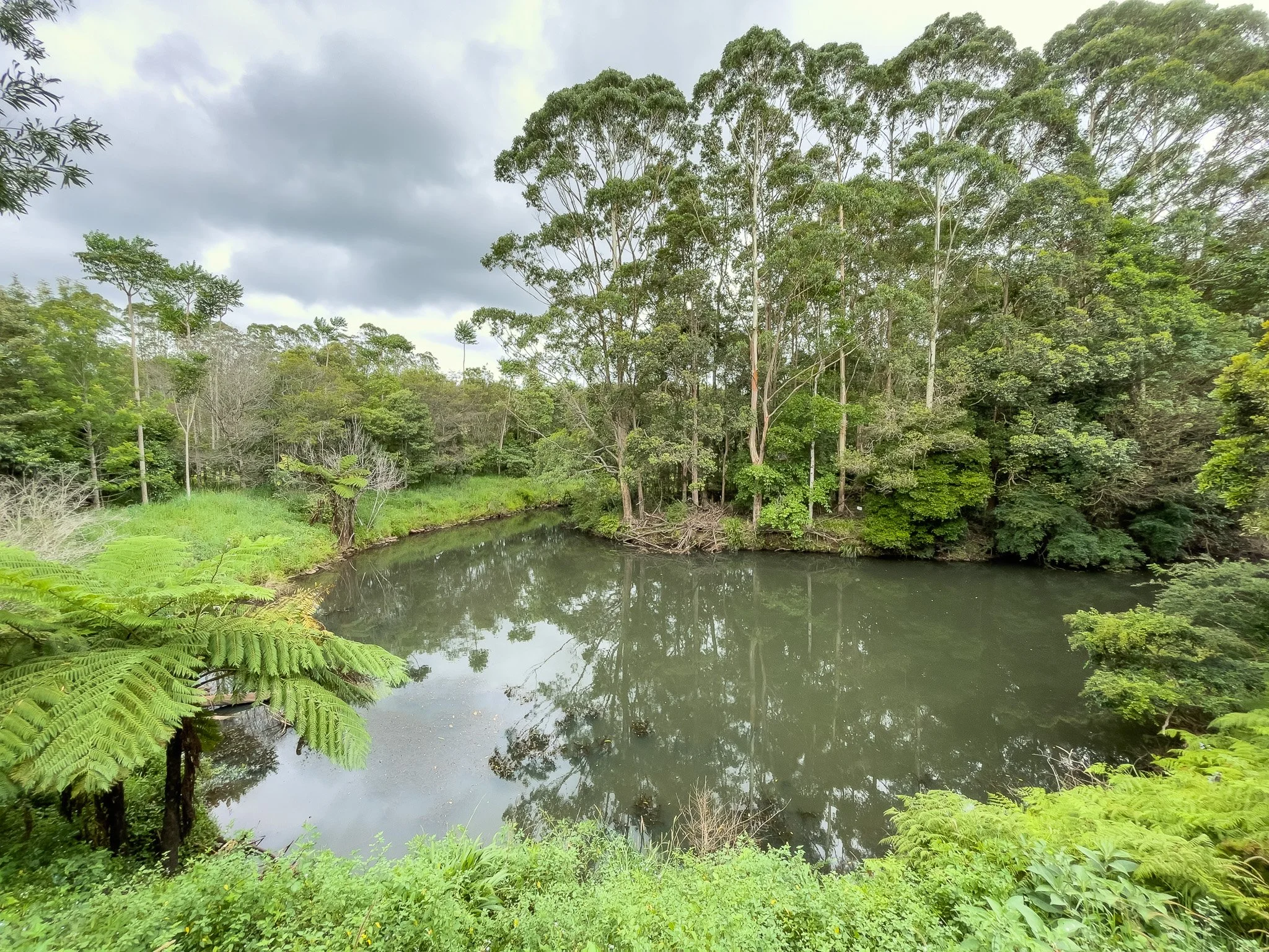 outlook from the viewing platform