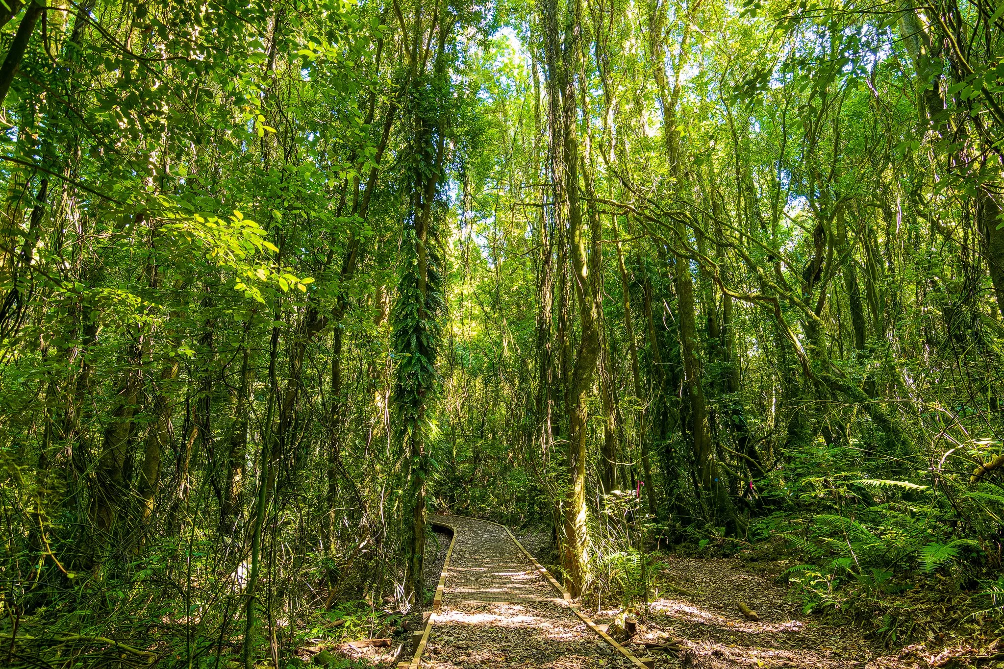 flat walking path leading from the carpark