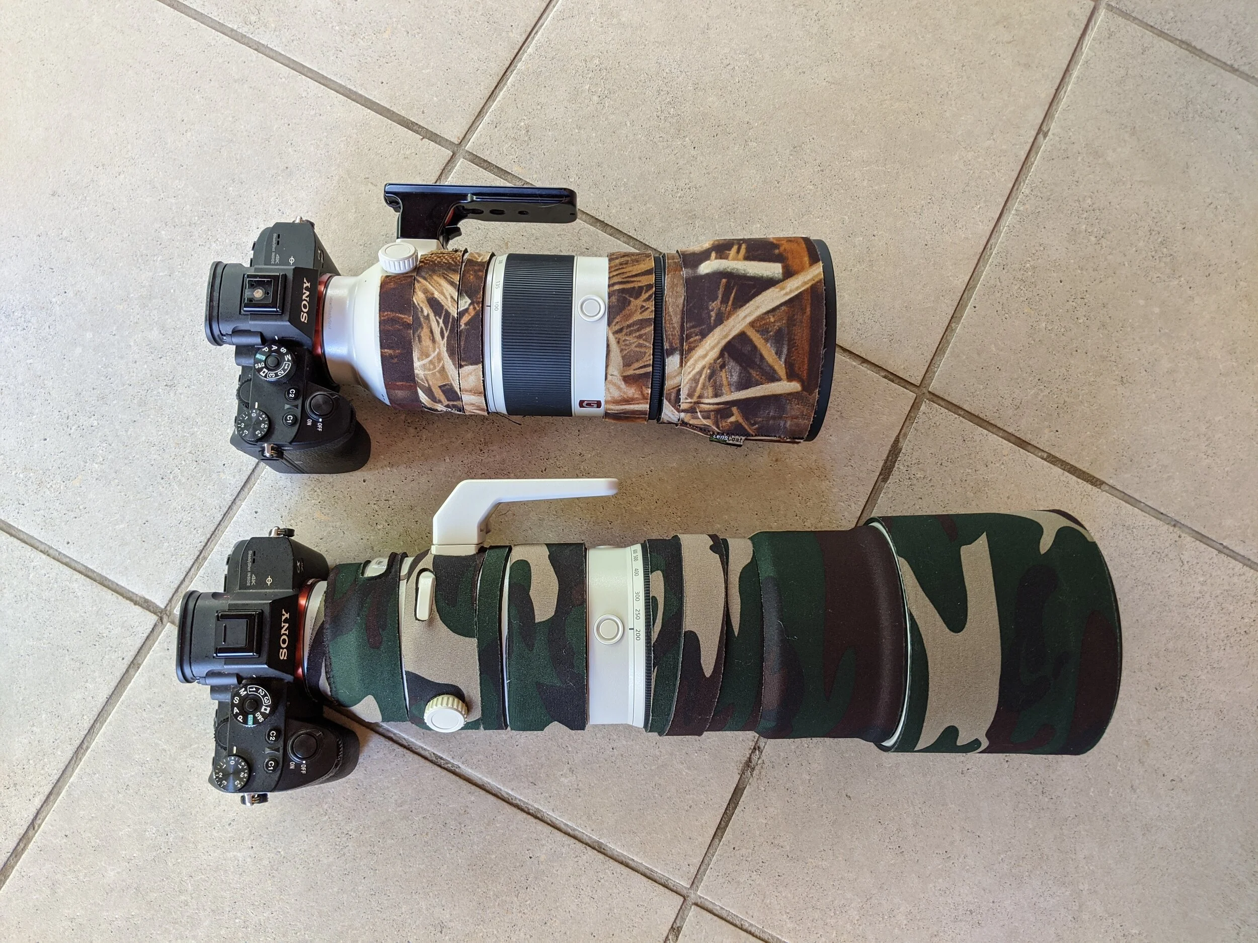 Sony 200–600 mm telephoto lens