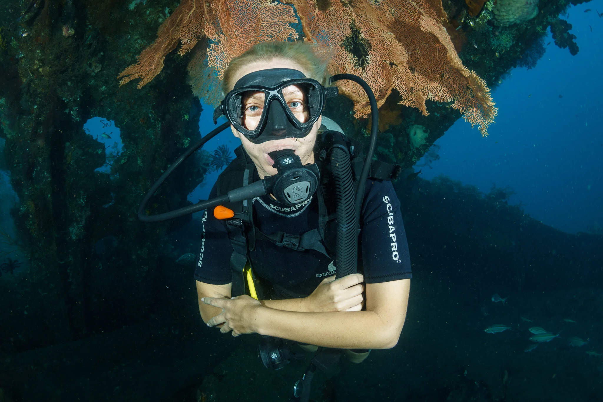 diver exploring the Liberty Wreck off Tulamben, Bali, Indonesia