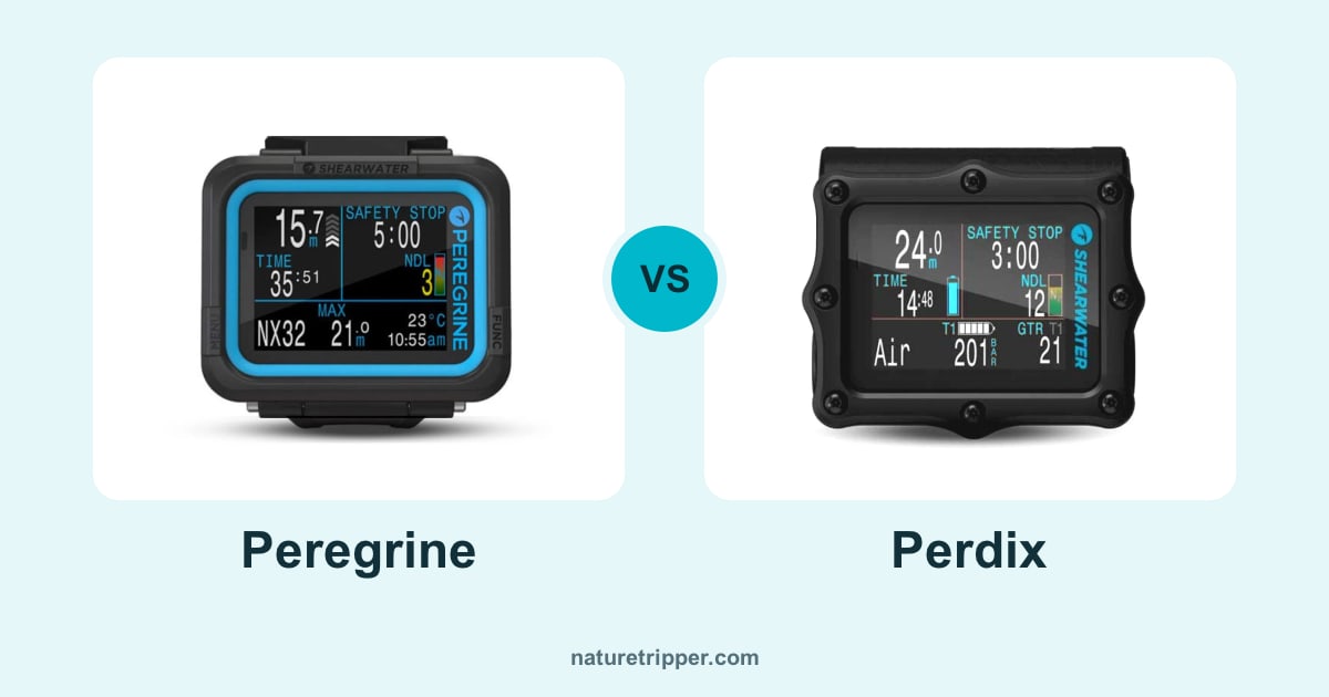 Shearwater Peregrine vs Perdix