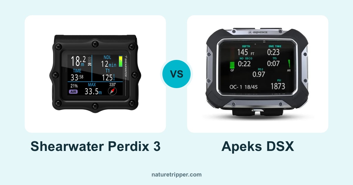 Shearwater Perdix 3 vs Apeks DSX