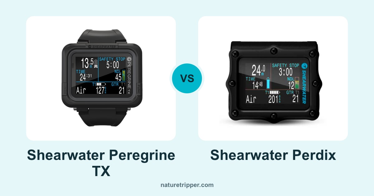 Shearwater Peregrine TX vs Shearwater Perdix