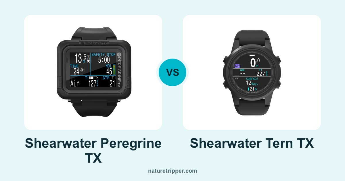 Shearwater Peregrine TX vs Shearwater Tern TX