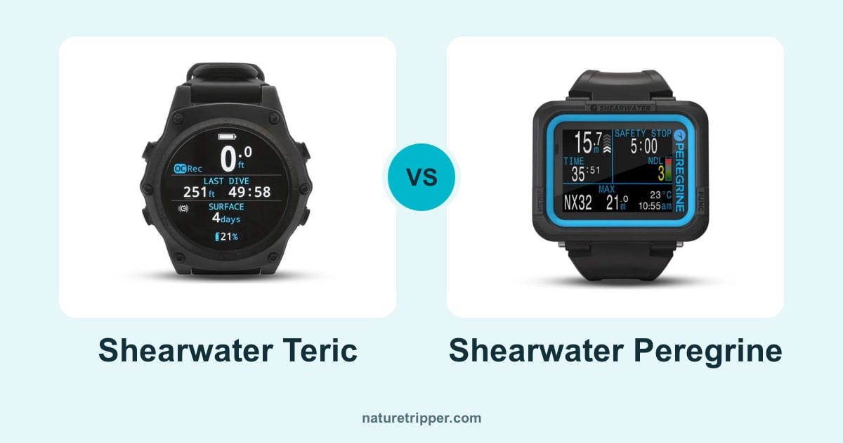 Shearwater Teric vs Shearwater Peregrine