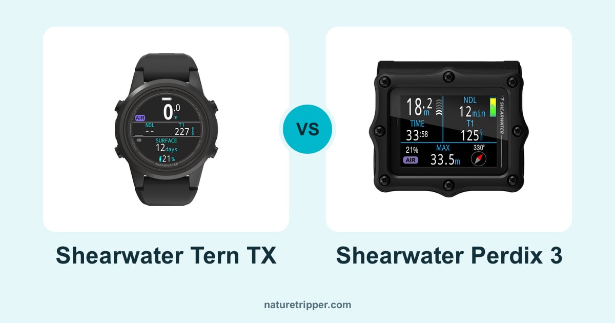 Shearwater Tern TX vs Shearwater Perdix 3