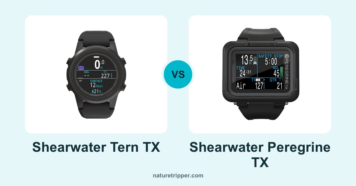 Shearwater Tern TX vs Shearwater Peregrine TX