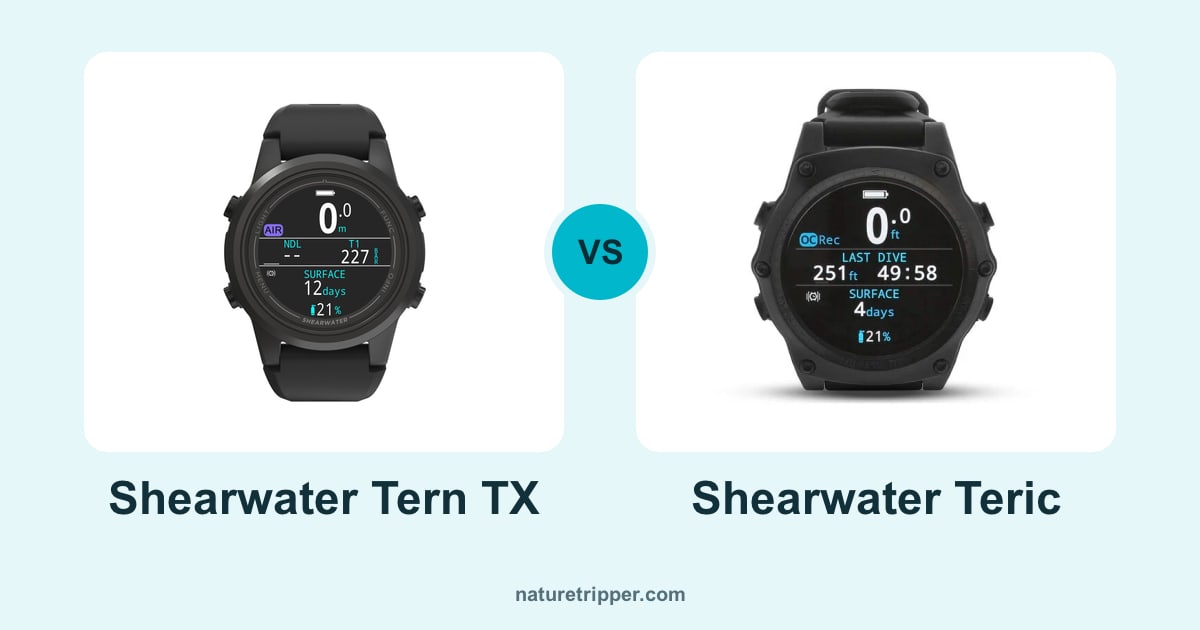 Shearwater Tern TX vs Shearwater Teric