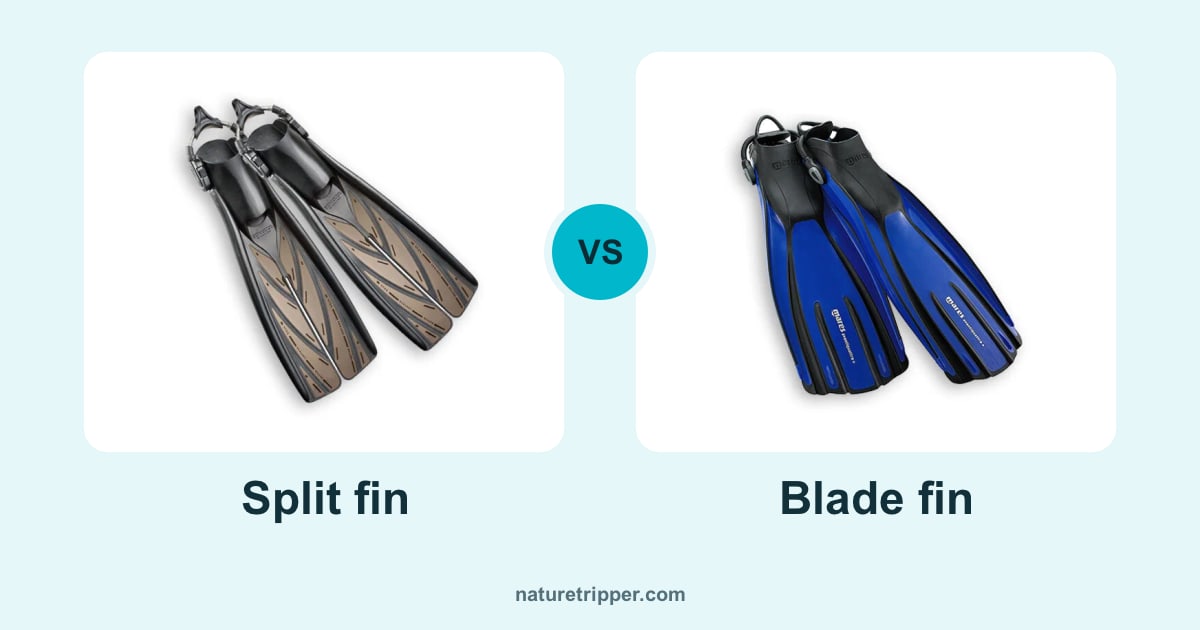 Split fin vs blade fin: Atomic Aquatics split fins and Mares Avanti Quattro Plus blade fins