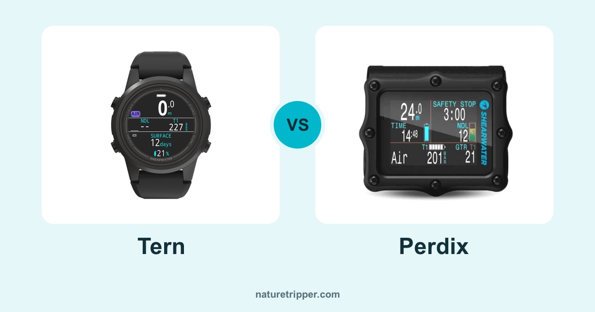 Shearwater Tern vs Perdix
